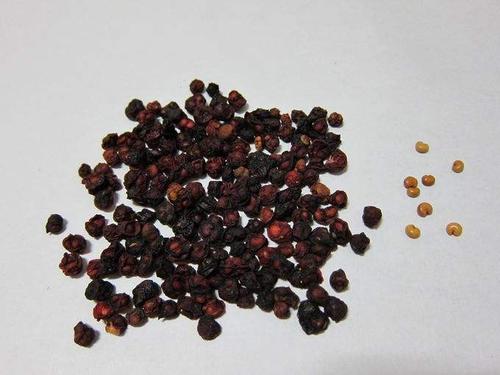 Dược liệu Ngũ vị tử và hạt