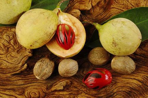 Quả nhục đậu khấu và hạt của nó