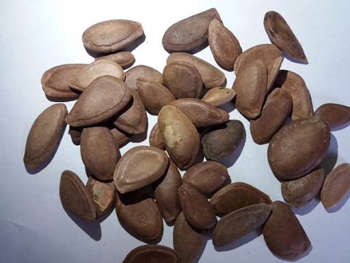 Những điều cần biết về vị thuốc Qua lâu nhân Những điều cần biết về vị thuốc Qua lâu nhân