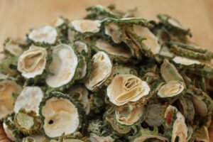 Khổ qua: Thuốc đắng dã tật Khổ qua: Thuốc đắng dã tật