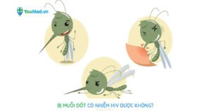 Bị muỗi đốt có nhiễm HIV được không?