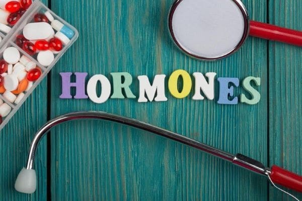 Hormon là gì