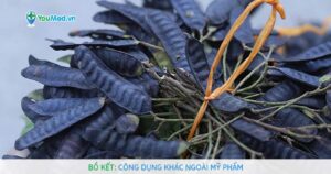 Bồ kết: Công dụng khác ngoài  “mỹ phẩm”