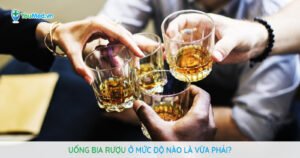 Bạn đã biết: Uống bia rượu ở mức độ nào là vừa phải?