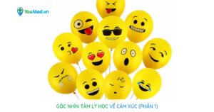 Góc nhìn tâm lý học về trí tuệ cảm xúc (Phần 1)