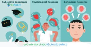 Góc nhìn tâm lý học về trí tuệ cảm xúc (Phần 2)