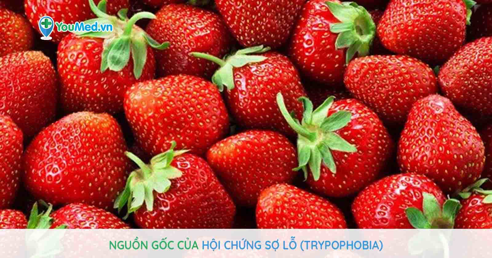 Triệu Chứng của Bệnh Sợ Trái Cây