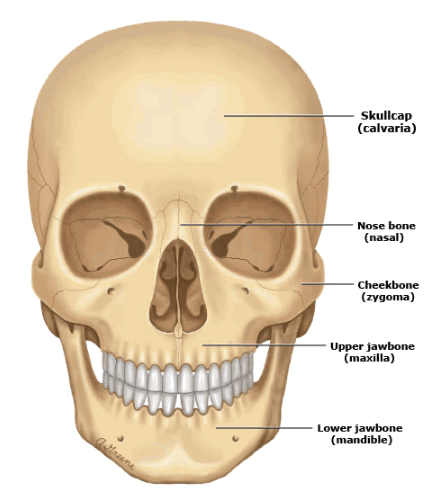 chấn thương đầu 1