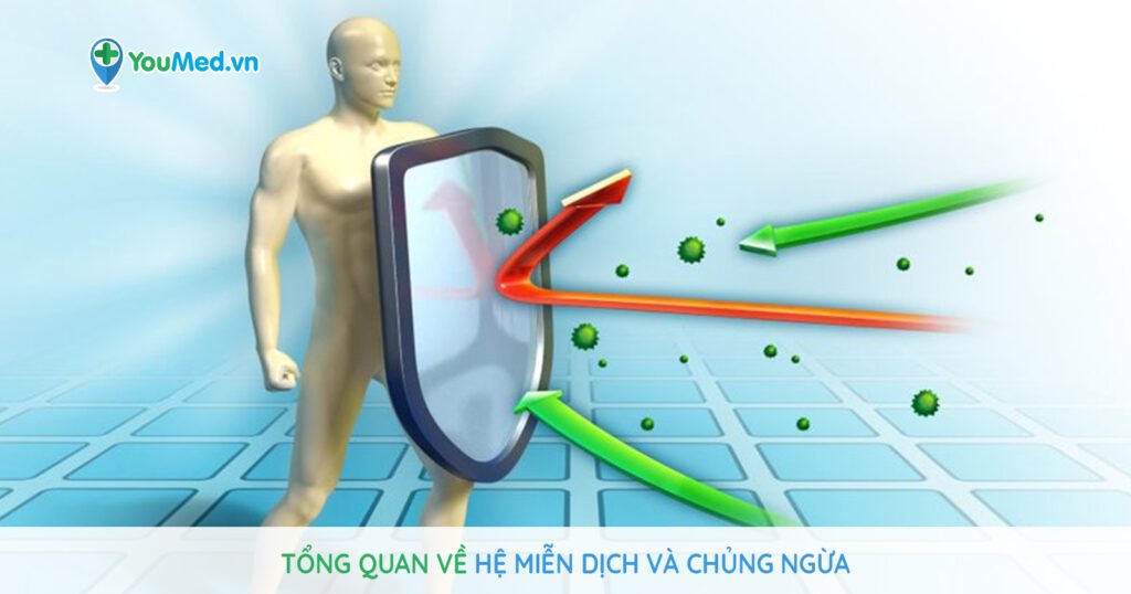 Tổng quan về hệ miễn dịch và chủng ngừa