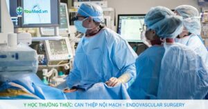 Y học thường thức: Can thiệp nội mạch – Endovascular Surgery