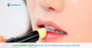 Y học thường thức: Cách xử trí và phòng ngừa khi bị khô môi