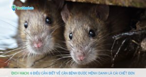 Dịch Hạch: 6 điều cần biết về căn bệnh được mệnh danh là Cái Chết Đen