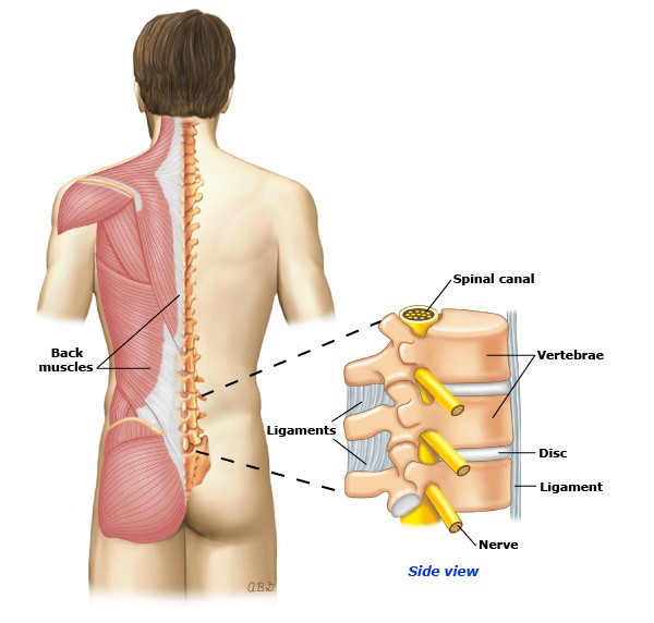 Chấn thương cột sống là gì ?