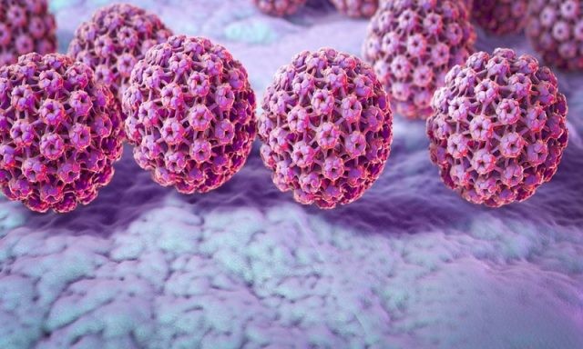 Virus HPV là tác nhân gây lên Ung thư hậu môn