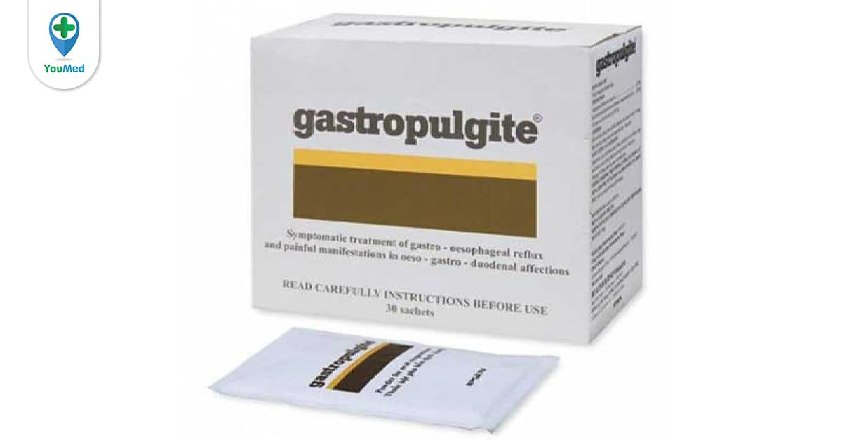 Gastropulgite có thành phần chính là gì?
