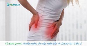 Bệnh sỏi bàng quang: Nguyên nhân, dấu hiệu nhận biết và cách điều trị