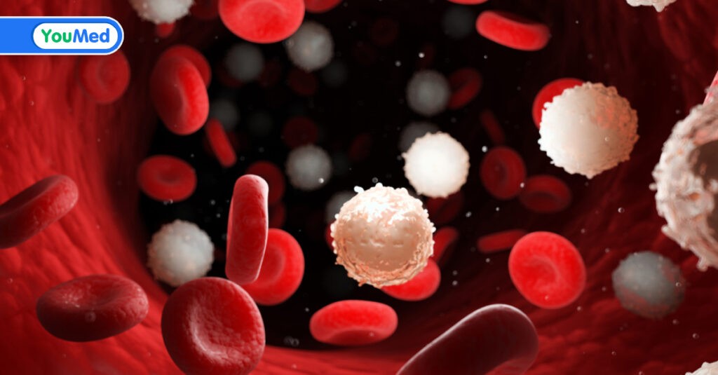Ung thư máu: dấu hiệu, nguyên nhân và tiên lượng bệnh
