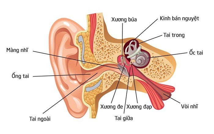 viêm ống tai 1
