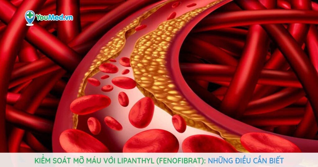 Kiểm soát mỡ máu với Lipanthyl (fenofibrat): Những điều cần biết