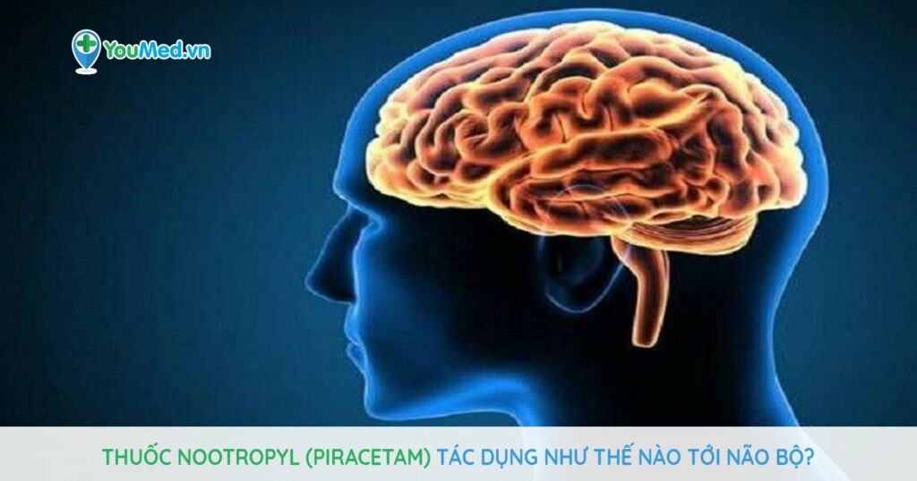 Thuốc Nootropyl (piracetam) tác dụng như thế nào tới não bộ?