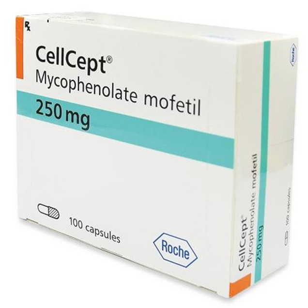 cellcept 250 mg