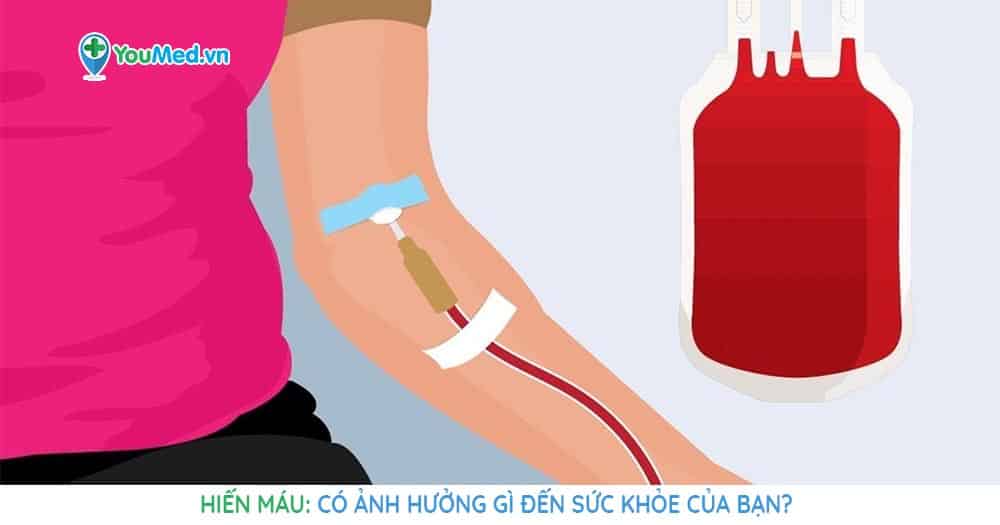 Hiến máu có tác động đến cơ thể trong thời gian dài không?