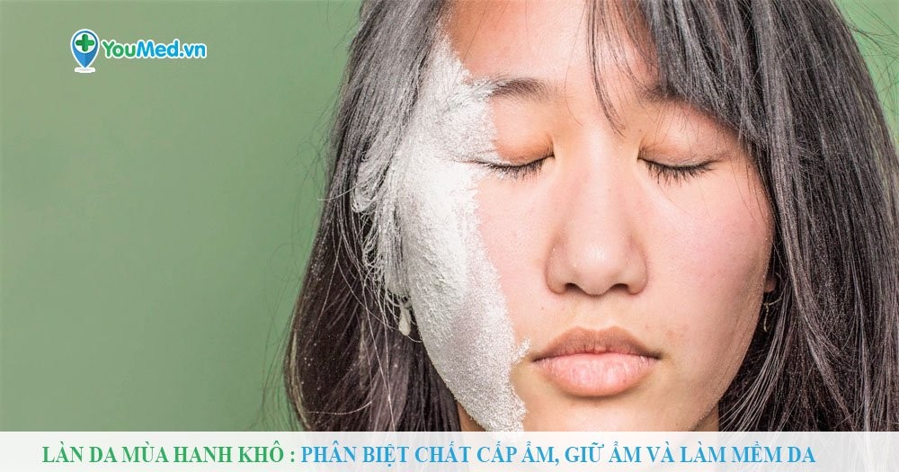 Làn da mùa hanh khô : Phân biệt chất cấp ẩm, giữ ẩm và làm mềm da
