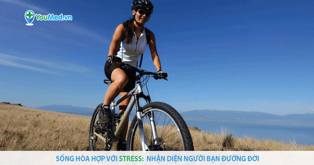 Sống hòa hợp với stress: Nhận diện người bạn đường