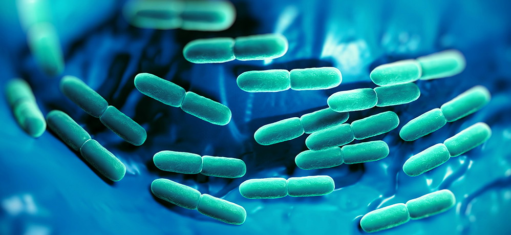 Probiotic Lactobacillus rhamnosus GG có thể giúp ích cho tình trạng tiêu chảy cấp ở trẻ