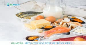 Vitamin B12: Những công dụng tuyệt vời cho sức khỏe