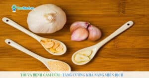 Tỏi và bệnh cảm cúm: Tăng cường khả năng miễn dịch