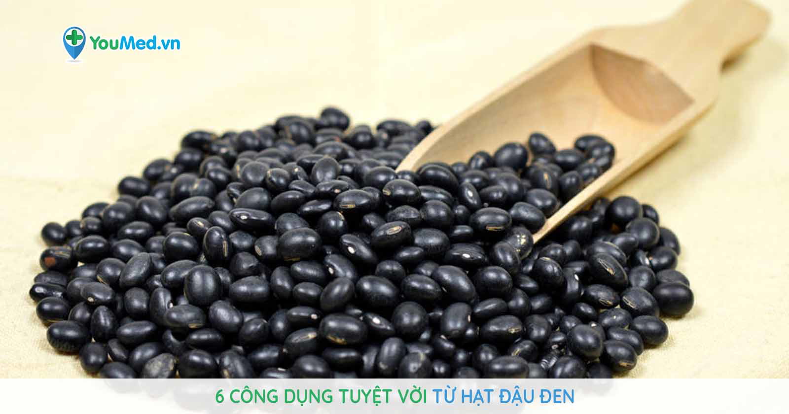 Đậu đen
