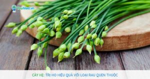 Cây Hẹ: Trị ho hiệu quả với loại rau quen thuộc