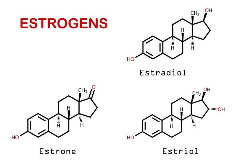 Hormon Estrogen là một trong những nguyên nhân giả định gây ra bệnh