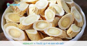 Hoàng kỳ: Vị thuốc quý mà bạn nên biết