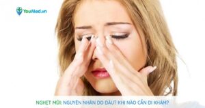 Nghẹt mũi: Nguyên nhân do đâu? Khi nào cần đi khám?