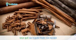 Nhục quế: gia vị quen thuộc của mọi nhà