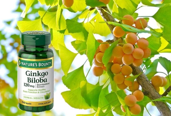 Thực phẩm chức năng Ginkgo Biloba 120 mg dạng hộp 100 viên của Mỹ