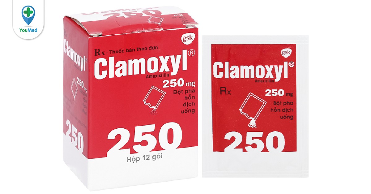 Clamoxyl 250mg thuộc nhóm thuốc gì?
