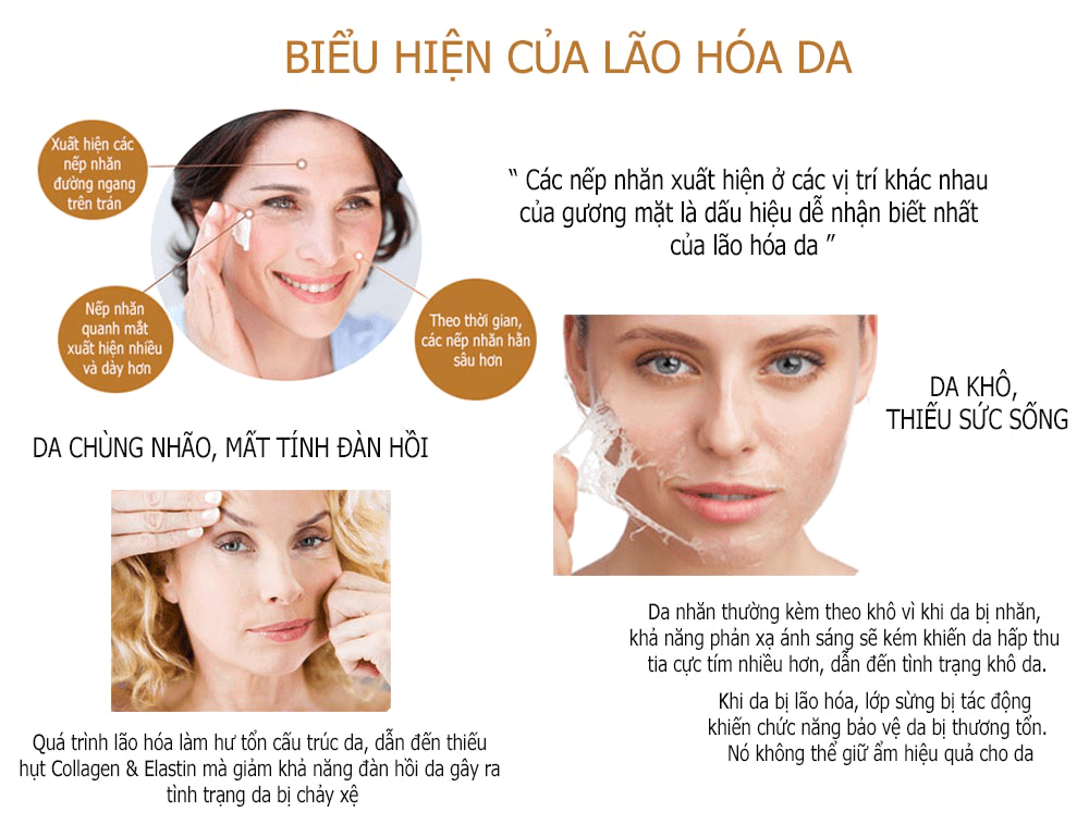 biểu hiện của lão hóa da