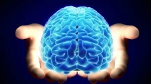 Nhiều vùng não được phát triển ở người thực hành thiền định