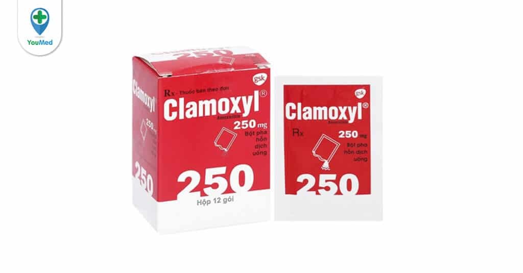 thuốc clamoxyl