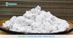 Cát căn: Vị thuốc giải nhiệt trong mùa hè