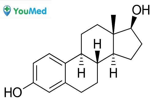 Hormon Estrogen tiết ra nhiều - nguyên nhân nứt đầu nhũ hoa khi mang thai