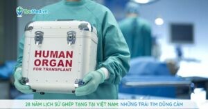 28 năm lịch sử ghép tạng tại Việt Nam: Những trái tim dũng cảm