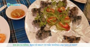 Khi ăn cá sống, bạn có nguy cơ mắc những loại sán lá nào?