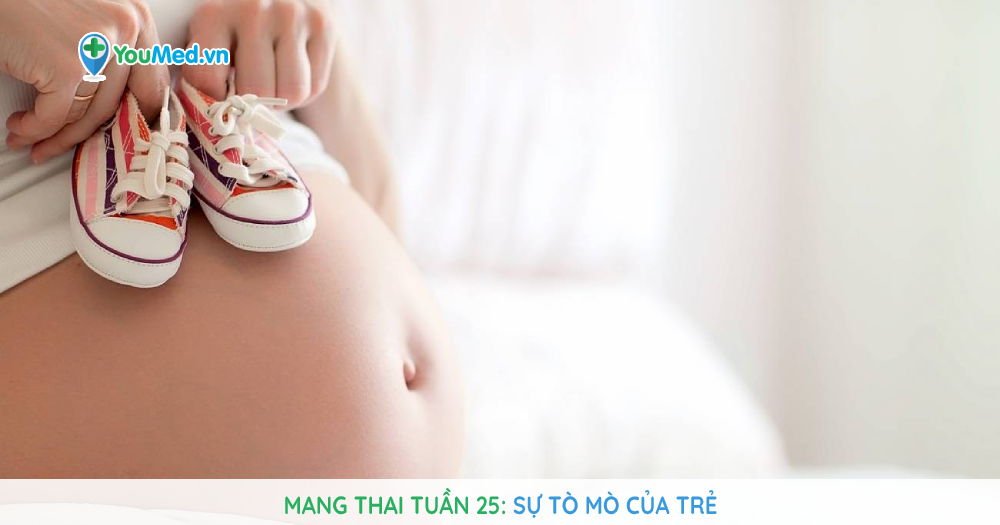 Mang thai tuần 25: Sự tò mò của trẻ