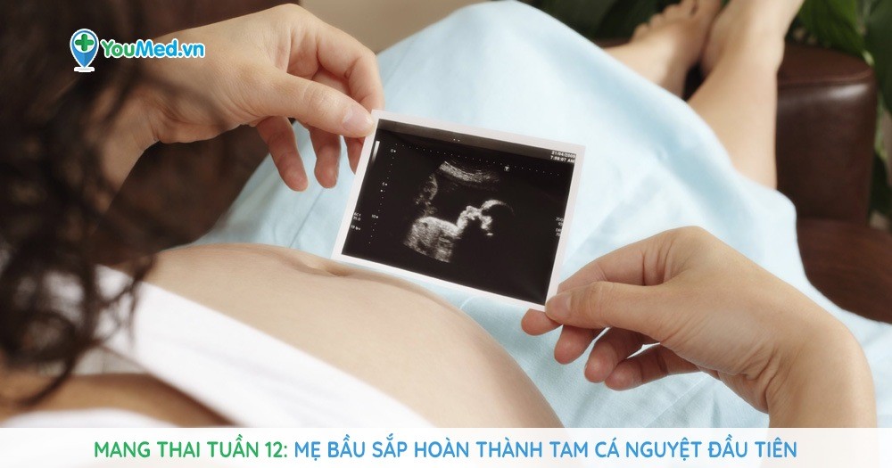 Mang thai tuần 12 - Mẹ bầu sắp hoàn thành tam cá nguyệt đầu tiên