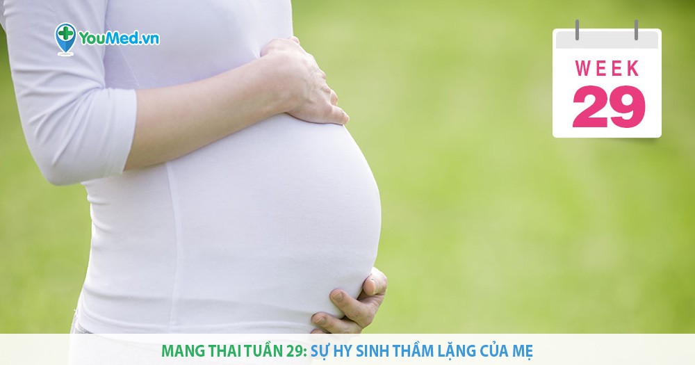 Mang thai tuần 29: Sự hy sinh thầm lặng của mẹ