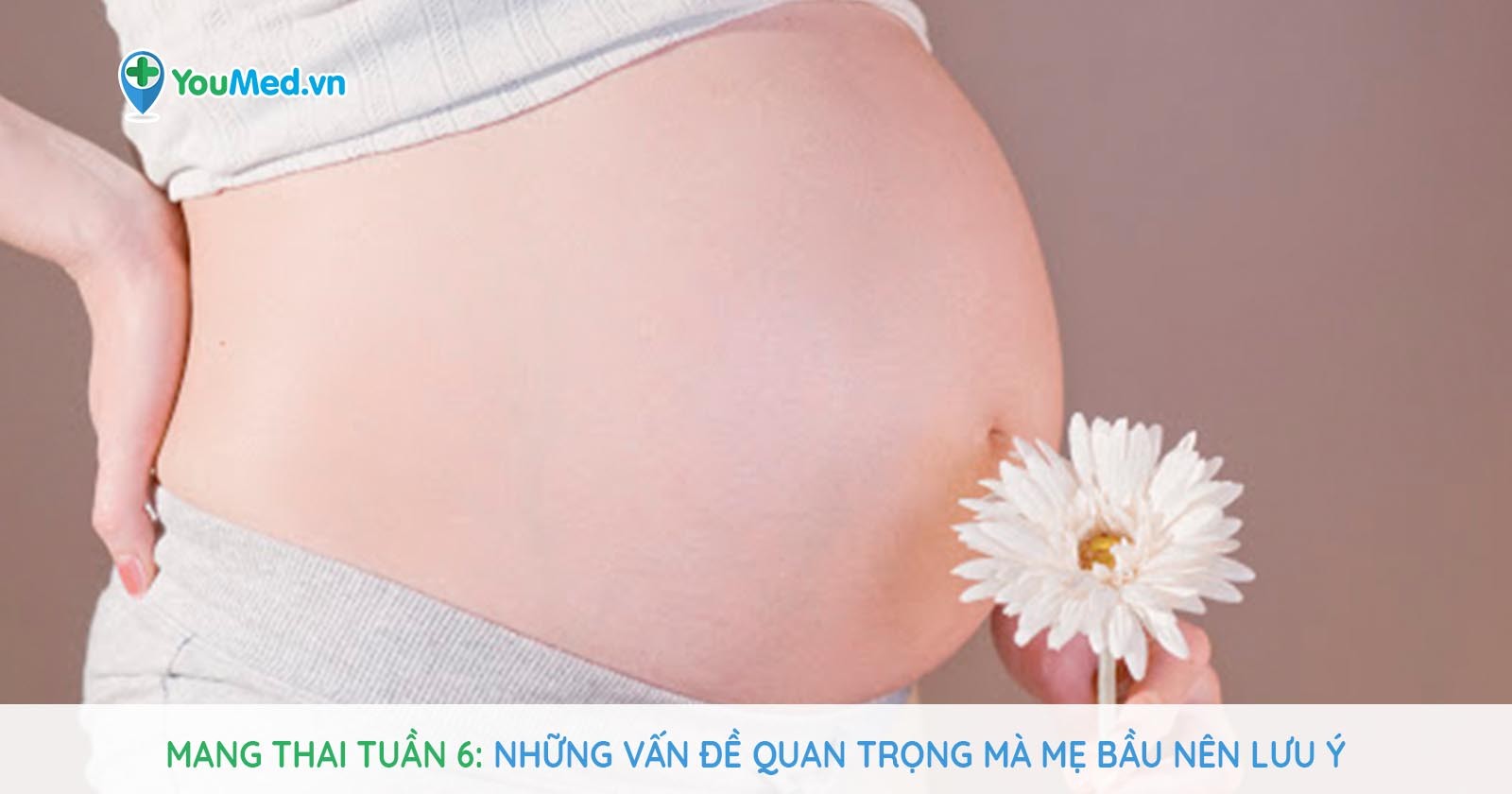 Mang thai tuần 6: Những vấn đề quan trọng mà mẹ bầu nên lưu ý